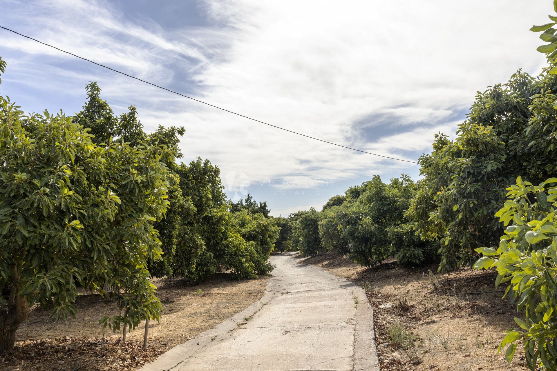 Espectacular Finca: 74.500 metros de naturaleza a 10 minutos de La Cala de Mijas